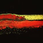 a painting of red, yellow, and green colors